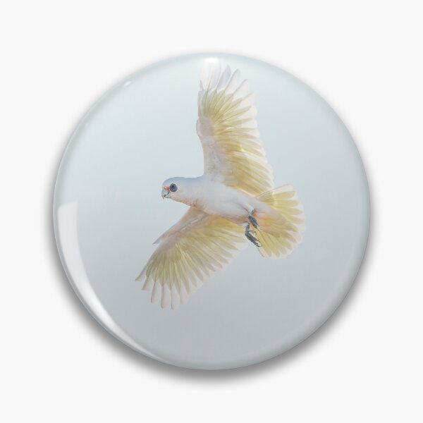 Item preview, Long-billed corella designed and sold by robdanimalphotography.
