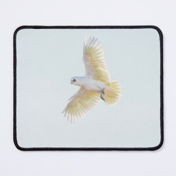 Item preview, Long-billed corella designed and sold by robdwildlife.
