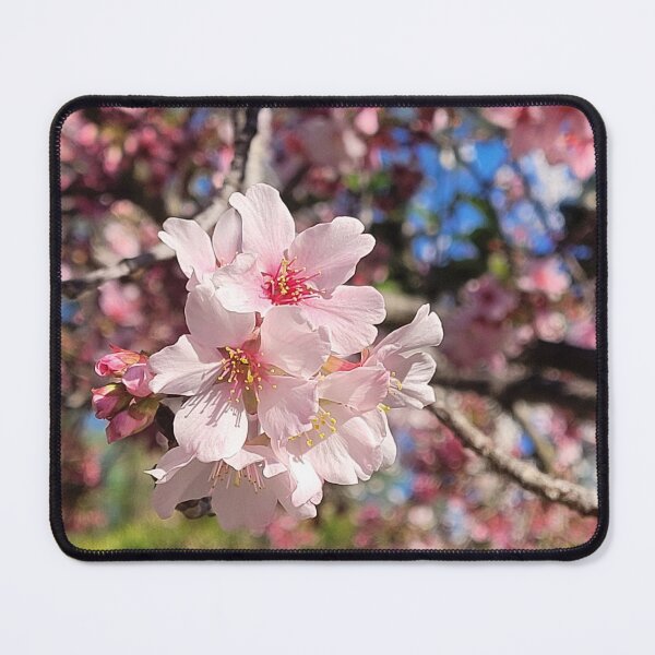 Item preview, Sakura Blossoms designed and sold by Facebook.com/ ArtByAmyMinori.