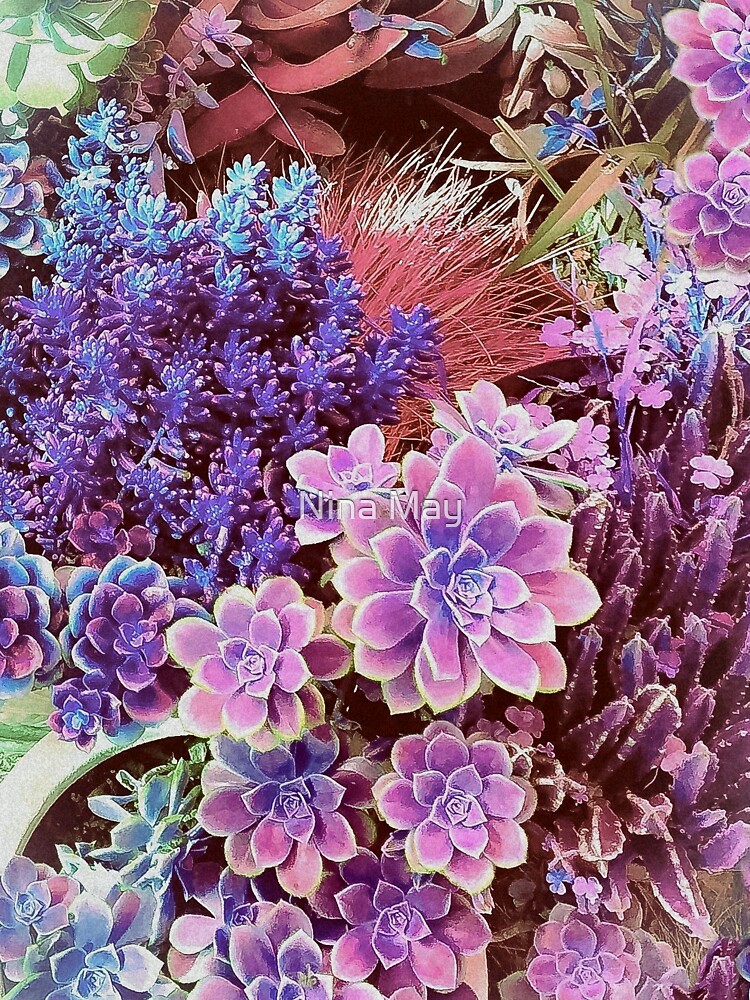 Succulent Garden View by ninabmay