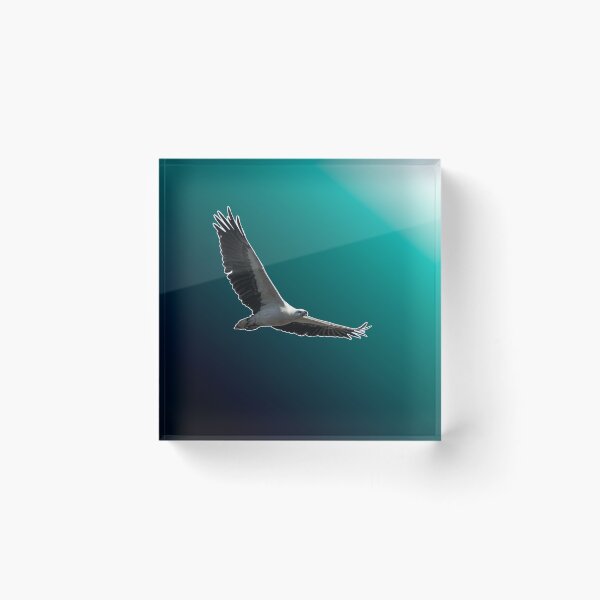 Item preview, White-bellied sea eagle with gradient effect designed and sold by robdwildlife.