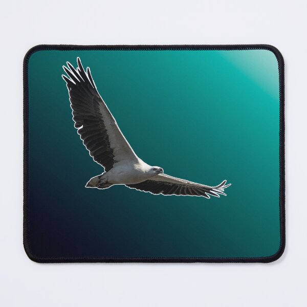 Item preview, White-bellied sea eagle with gradient effect designed and sold by robdwildlife.