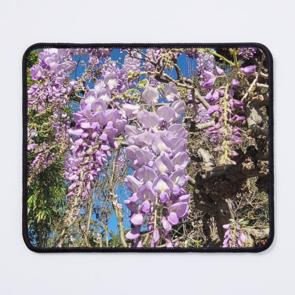 Item preview, Lavender Purple Wisteria designed and sold by Facebook.com/ ArtByAmyMinori.