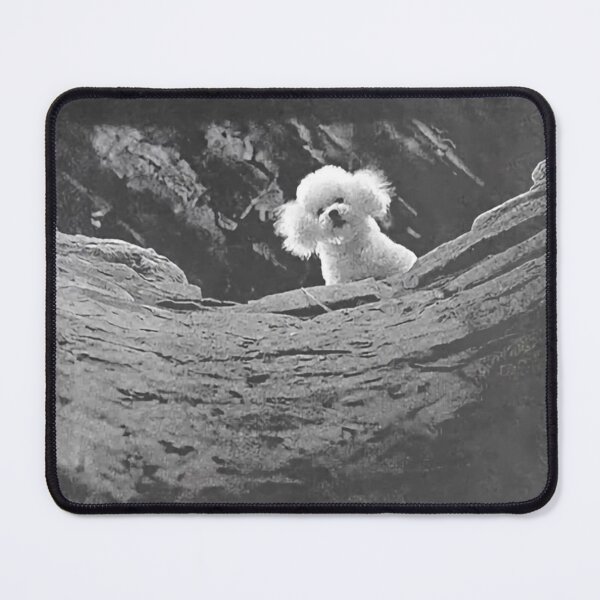 Item preview, Buffalo Bill’s Precious designed and sold by BronxArtist.