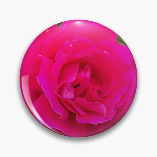Item preview, Shock Pink Rose designed and sold by Facebook.com/ ArtByAmyMinori.