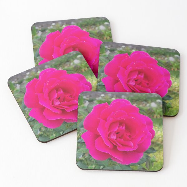 Item preview, Shock Pink Rose designed and sold by Facebook.com/ ArtByAmyMinori.