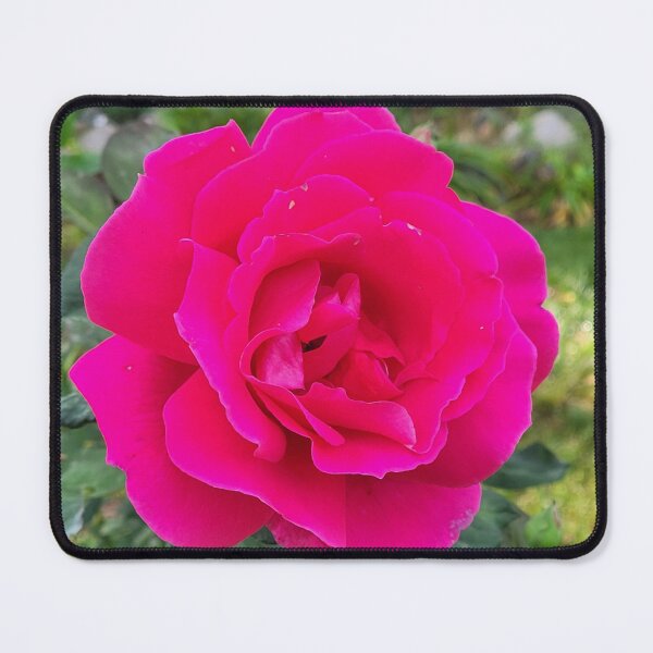 Item preview, Shock Pink Rose designed and sold by Facebook.com/ ArtByAmyMinori.