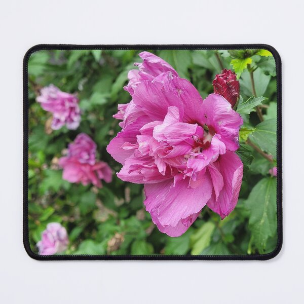 Item preview, Pinkish Purple Azaleas designed and sold by Facebook.com/ ArtByAmyMinori.