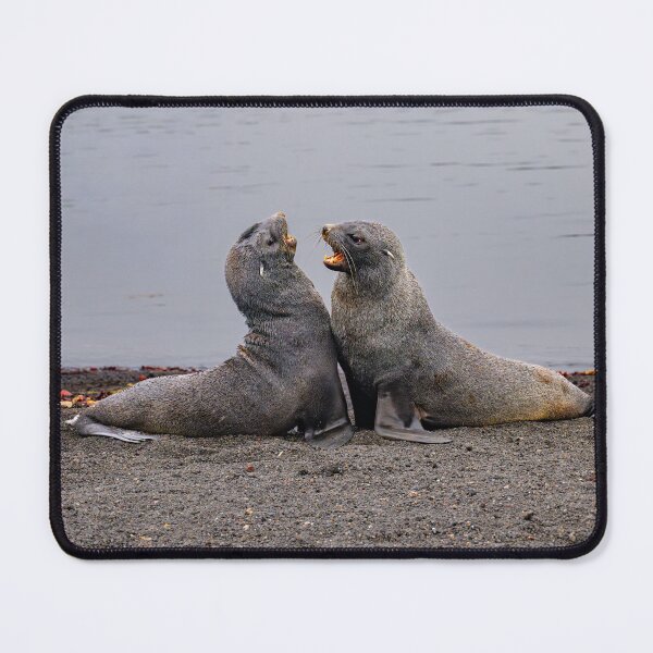 Item preview, Beachside Argument designed and sold by Jan Fijolek.