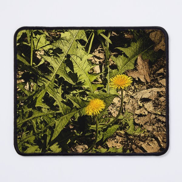 Item preview, Dual Dandelion Natural Punk Sketch designed and sold by InnerwayStudio.