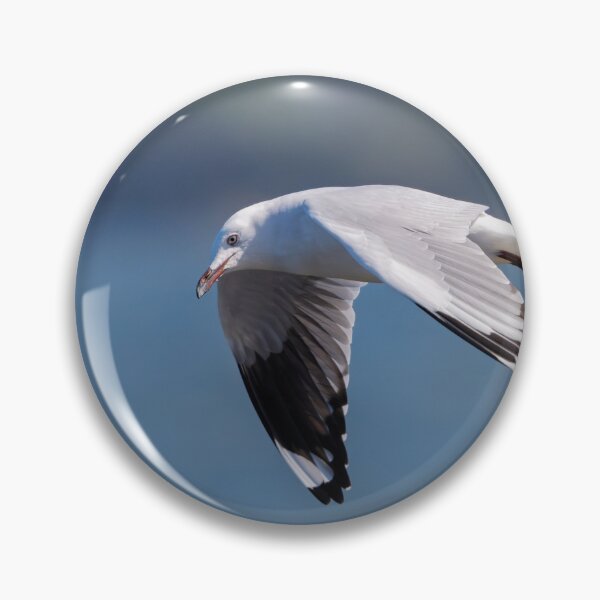 Item preview, Gull in Motion designed and sold by Jan Fijolek.