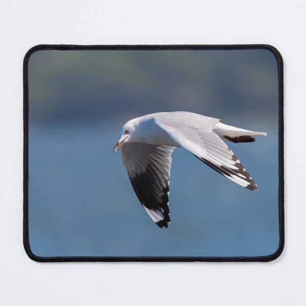 Item preview, Gull in Motion designed and sold by Jan Fijolek.