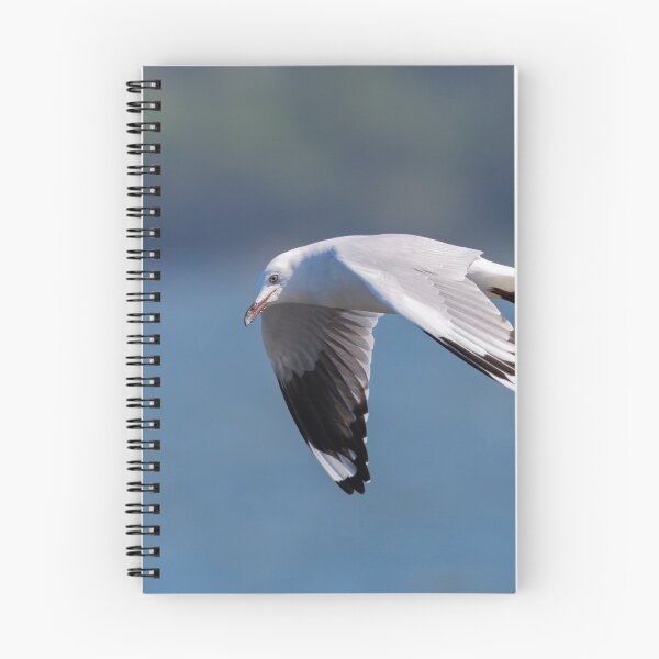 Item preview, Gull in Motion designed and sold by Jan Fijolek.