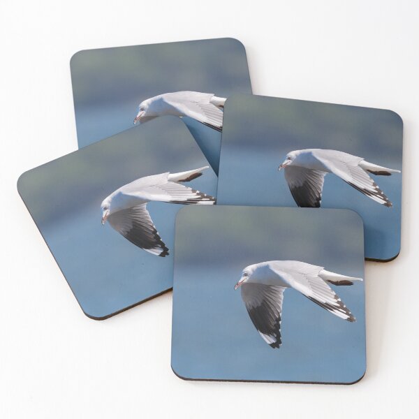 Item preview, Gull in Motion designed and sold by Jan Fijolek.