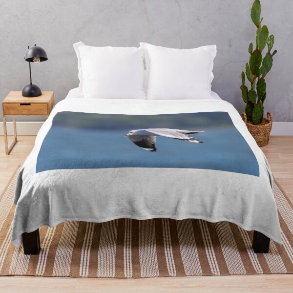 Item preview, Gull in Motion designed and sold by Jan Fijolek.
