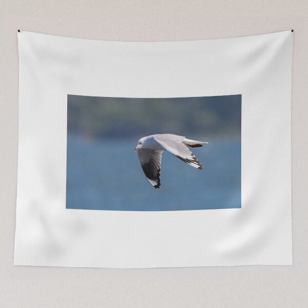 Item preview, Gull in Motion designed and sold by Jan Fijolek.