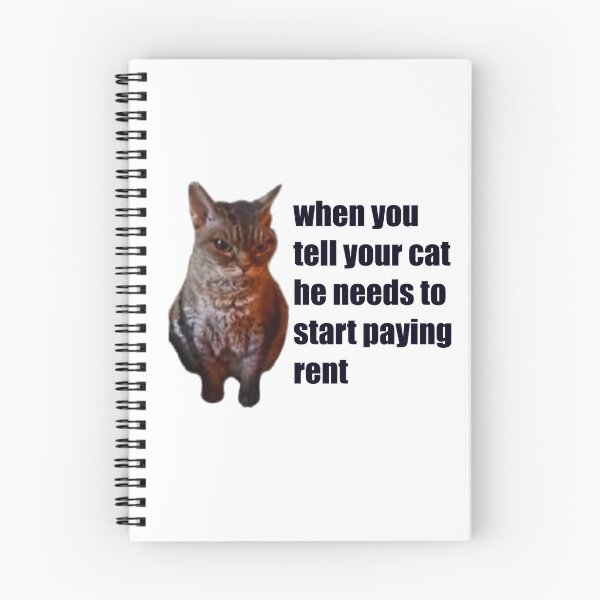 Artikelvorschau, Lustige Katzen-Memes: Wenn du deiner Katze sagst, sie müsse anfangen, Miete zu zahlen. entworfen und verkauft von Clawandchaos.