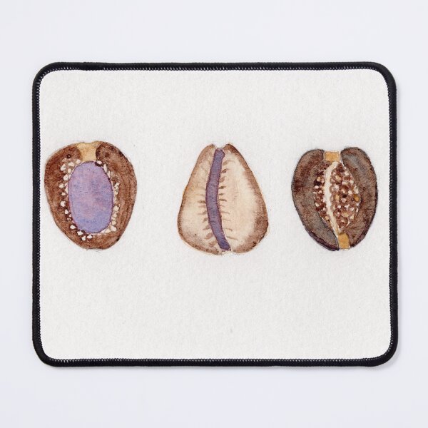 Item preview, Watercolor painting of three small cowrie shells. designed and sold by KPierceArt.