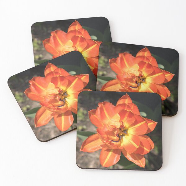 Item preview, Glossy Orange Multi Petaled Tulip in Bloom designed and sold by Georgia Mizuleva.