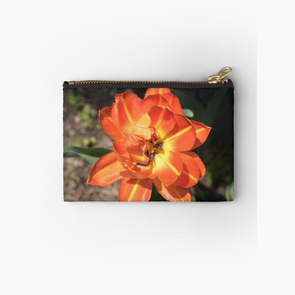Item preview, Glossy Orange Multi Petaled Tulip in Bloom designed and sold by Georgia Mizuleva.