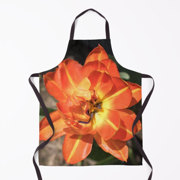 Item preview, Glossy Orange Multi Petaled Tulip in Bloom designed and sold by Georgia Mizuleva.