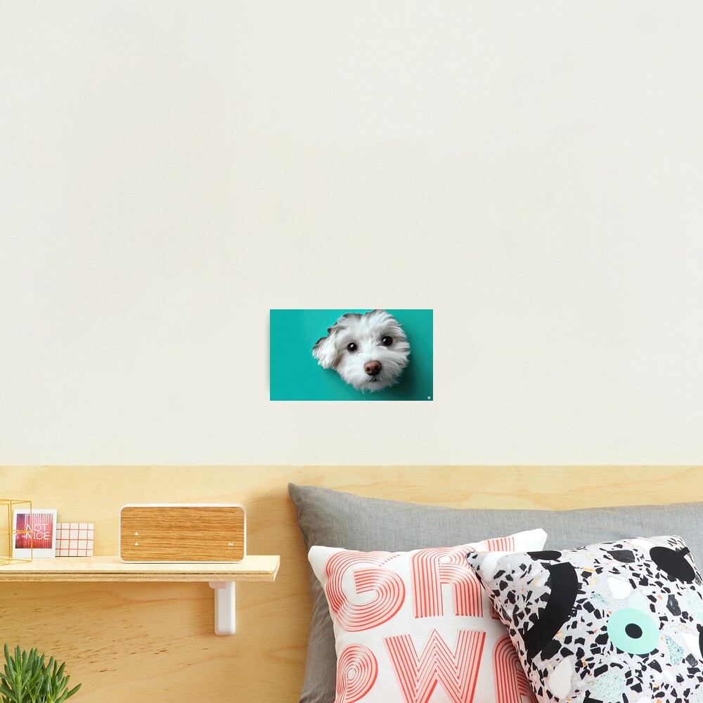Item preview, Photographic Print designed and sold by RicoInStudios.