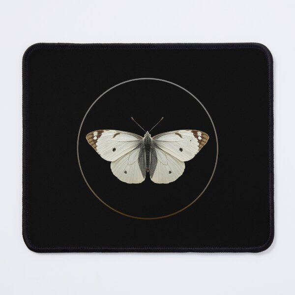 Item preview, Cabbage white butterfly on black. designed and sold by moths-minor.