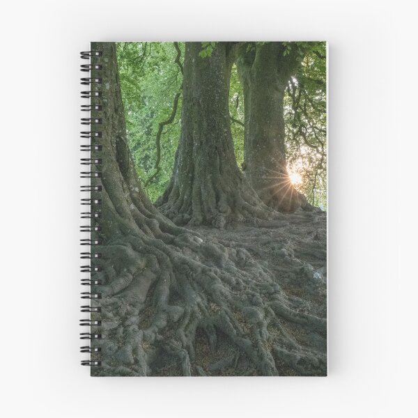 Item preview, Avebury Beech Trees designed and sold by StoneBothering.
