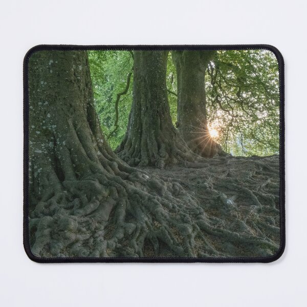 Item preview, Avebury Beech Trees designed and sold by StoneBothering.