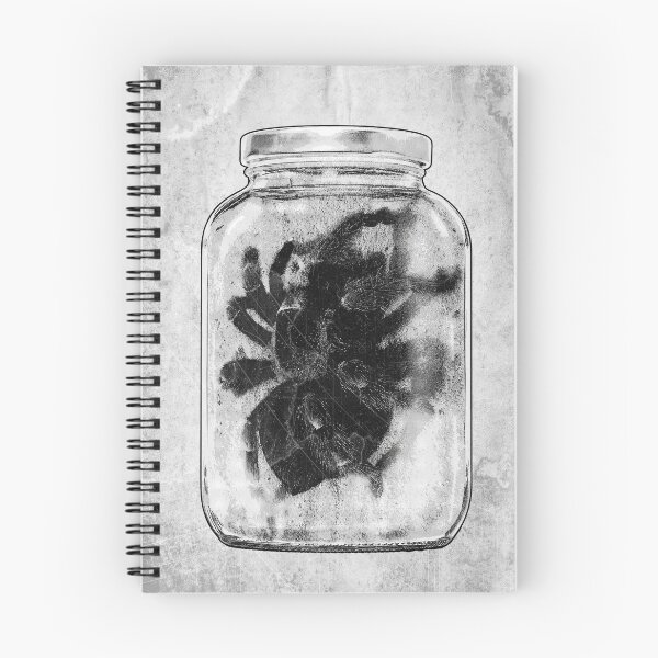 Aperçu de l'œuvre Collection de spécimens de tarentules Dark Nature de Drew's Jar créée et vendue par Ghoul Enterprises.