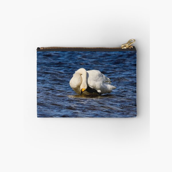 Item preview, AAH. Whooper swan. Spring 2026 designed and sold by Jouko Lehto Photography.