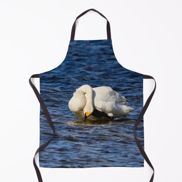 Item preview, AAH. Whooper swan. Spring 2026 designed and sold by Jouko Lehto Photography.
