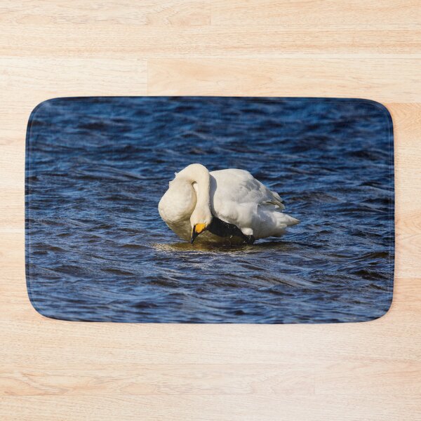 Item preview, AAH. Whooper swan. Spring 2026 designed and sold by Jouko Lehto Photography.