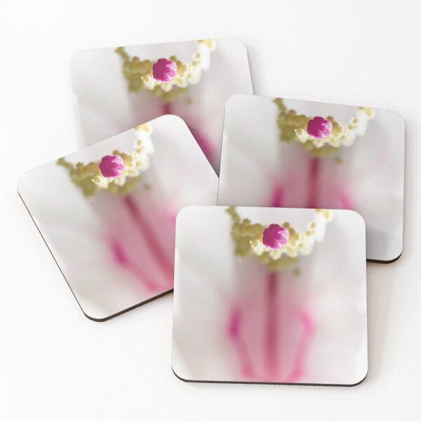 Item preview, Point. Moth orchid designed and sold by Jouko Lehto Photography.