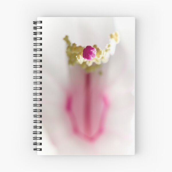Item preview, Point. Moth orchid designed and sold by Jouko Lehto Photography.