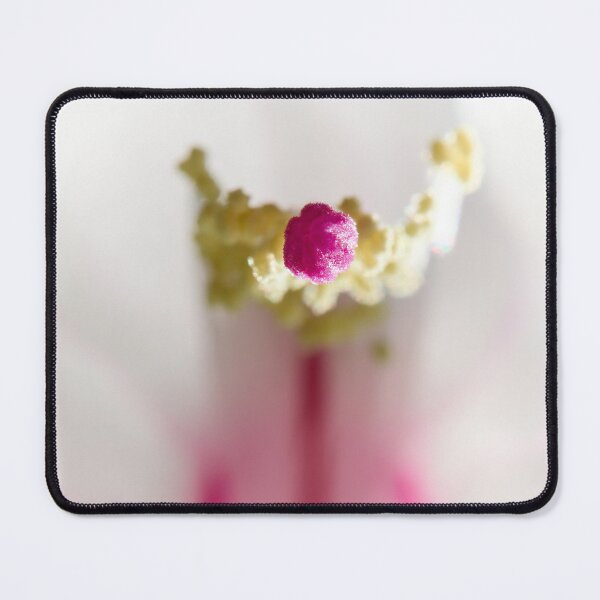 Item preview, Point. Moth orchid designed and sold by Jouko Lehto Photography.