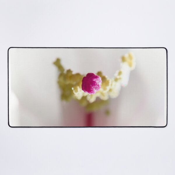 Item preview, Point. Moth orchid designed and sold by Jouko Lehto Photography.