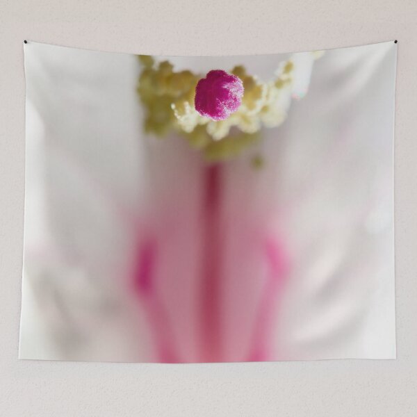 Item preview, Point. Moth orchid designed and sold by Jouko Lehto Photography.