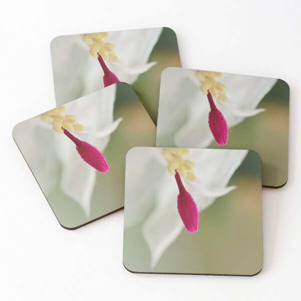 Item preview, Red, white and green. Moth orchid designed and sold by Jouko Lehto Photography.