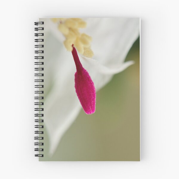 Item preview, Red, white and green. Moth orchid designed and sold by Jouko Lehto Photography.