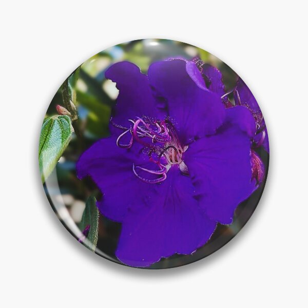 Item preview, Vivid Purple Bloom in Soft Light designed and sold by Focus & Wander.