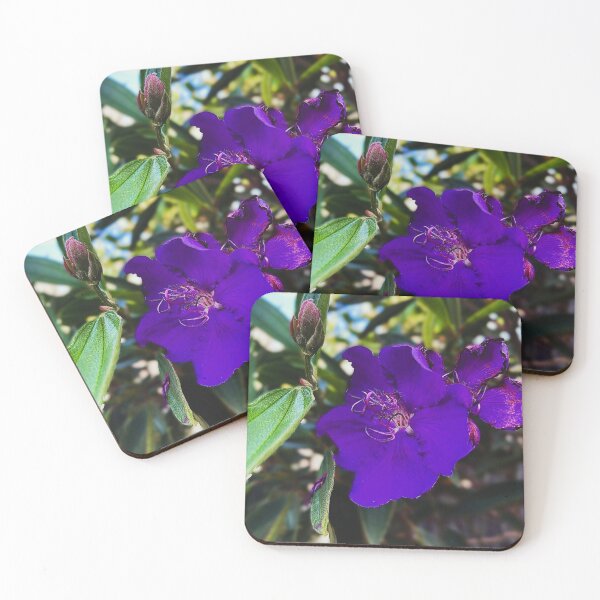 Item preview, Vivid Purple Bloom in Soft Light designed and sold by Focus & Wander.