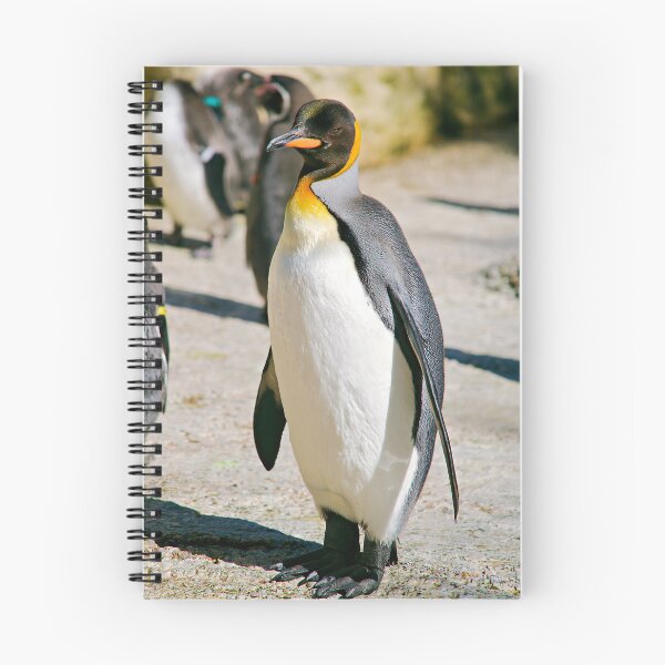 Item preview, King Penguin, Birdland Park and Gardens designed and sold by RJKYTE1970.