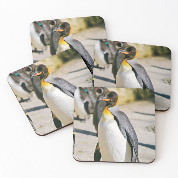 Item preview, King Penguin, Birdland Park and Gardens designed and sold by RJKYTE1970.