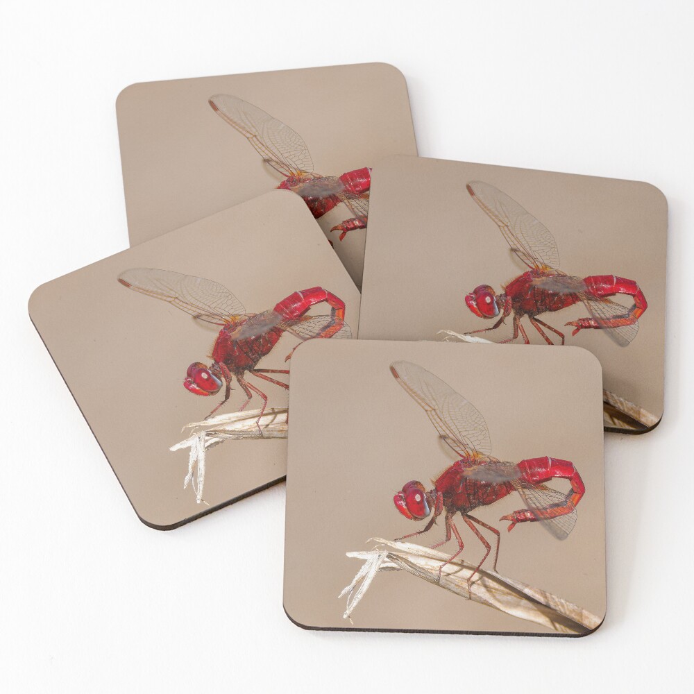 Item preview, Coasters (Set of 4) designed and sold by RalphGoldsmith.