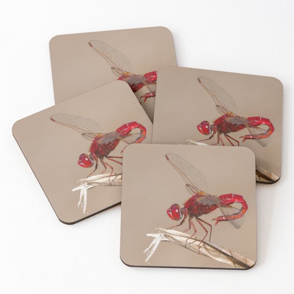 Item preview, Scarlet Darter  designed and sold by Ralph Goldsmith.