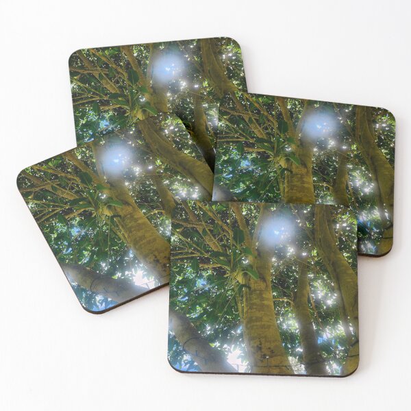 Item preview, Morton Bay Fig  designed and sold by DreadedRaven.