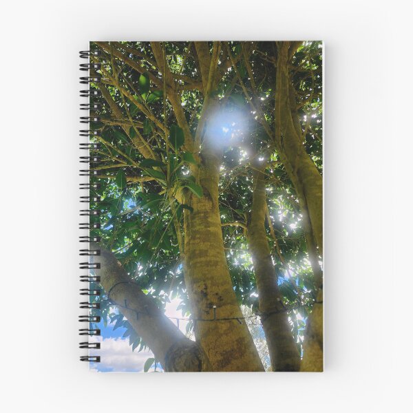 Item preview, Morton Bay Fig  designed and sold by DreadedRaven.