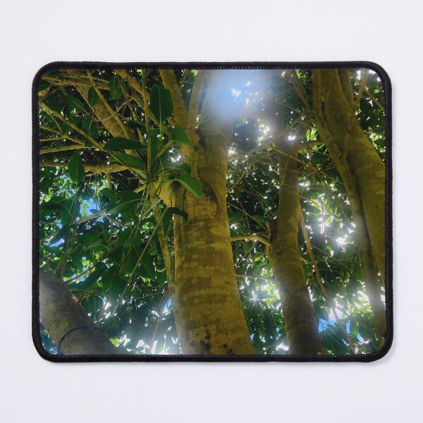 Item preview, Morton Bay Fig  designed and sold by DreadedRaven.