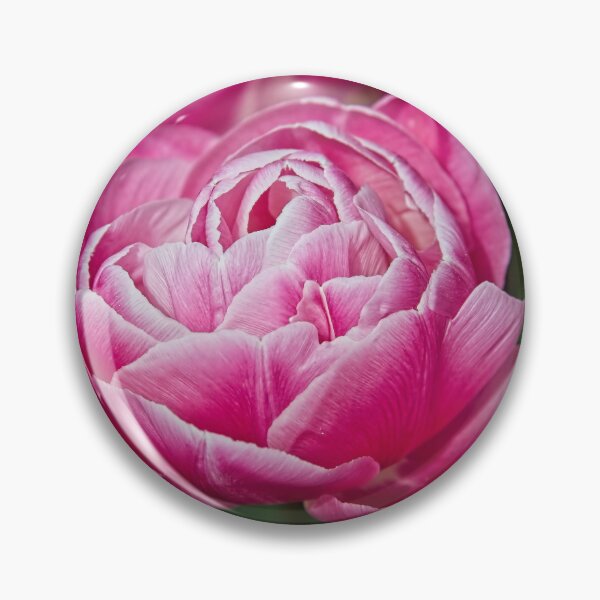 Item preview, Pink Peony Tulip Flower designed and sold by Martyn R Arnold Fine Art Nature & Landscape Photography.